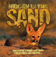 Hidden in the Sand - Taylor, Barbara