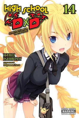 High School DXD, Vol. 14 (Light Novel): Volume 14 - Ishibumi, Ichiei, and Miyama-Zero, and Trowell, Haydn (Translated by)