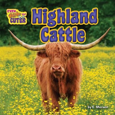 Highland Cattle - Merwin, E
