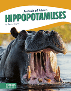 Hippopotamuses