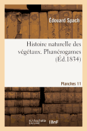 Histoire Naturelle Des V?g?taux. Phan?rogames. Planches, 11