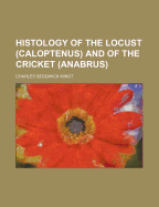 Histology of the Locust (Caloptenus) and of the Cricket (Anabrus)