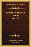 History Of Sullivan County (1873)