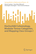 Hochschild Cohomology, Modular Tensor Categories, and Mapping Class Groups I