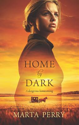 Home by Dark - Perry, Marta