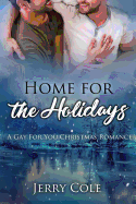 Home for the Holidays: A Gay for You Christmas Romance