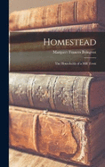 Homestead: The Households of a Mill Town