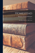 Homestead: The Households of a Mill Town