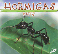 Hormigas: Ants