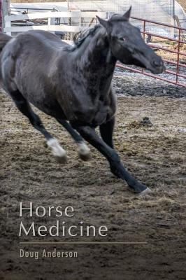 Horse Medicine - Anderson, Doug, Dr.