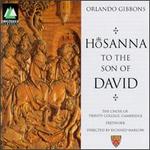 Hosanna To The Son Of David - Christopher Allsop (organ); Julia Hodgson (bass viol); Philip Rushforth (organ); Richard Boothby (bass viol);...