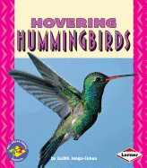 Hovering Hummingbirds