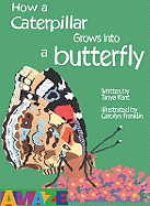 How a Caterpillar Grows into a Butterfly