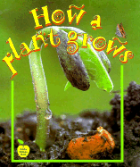 How a Plant Grows - Kalman, Bobbie