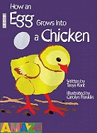 How an Egg Grows into a Chicken