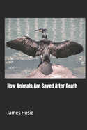 How Animals Are Saved After Death