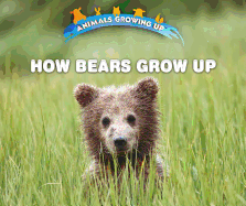 How Bears Grow Up