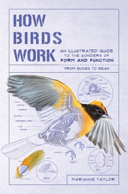 How Birds Work: An Illustrated Guide to the Wonders of Form and Function - From Bones to Beak - Taylor, Marianne