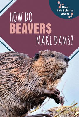 How Do Beavers Make Dams? - Jennings, Dorothy