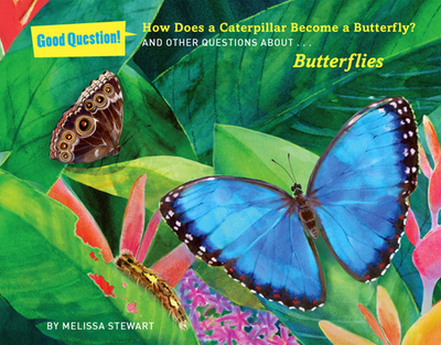 How Does a Caterpillar Become a Butterfly?: And Other Questions about Butterflies - Stewart, Melissa