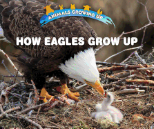 How Eagles Grow Up