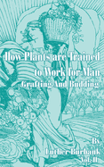 How Plants Are Trained to Work for Man: Grafting and Budding