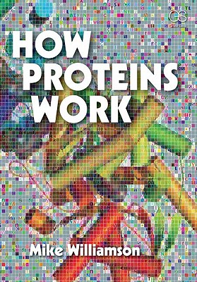 How Proteins Work - Williamson, Michael