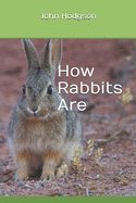 How Rabbits Are