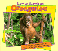 How to Babysit an Orangutan