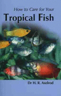 How to Care for Your Tropical Fish
