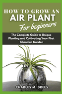 How to Grow an Air Plant for Beginners: The Complete Guide to Unique Planting and Cultivating Your First Tillandsia Garden