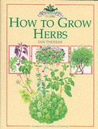 How to Grow Herbs