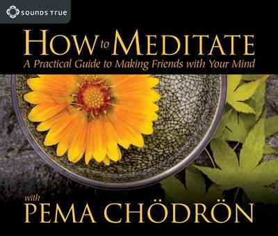 How to Meditate with Pema Chdrn: A Practical Guide to Making Friends with Your Mind - Chodron, Pema