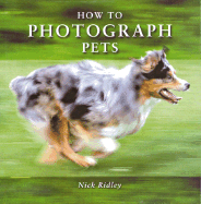 How to Photograph Pets