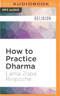 How to Practice Dharma: Teachings on the Eight Worldly Dharmas