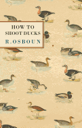 How to Shoot Ducks