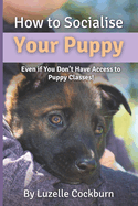 How to Socialise Your Puppy: Even if you don't have access to puppy classes!