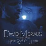 How Would U Feel - David Morales/Lea Lorin