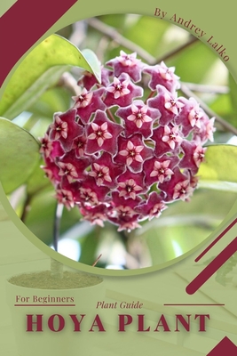 Hoya plant: Plant Guide - Lalko, Andrey