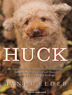 Huck: The Remarkable True Story of How One Lost Puppy Taught a Family---And a Whole Town---About Hope and Happy Endings