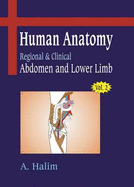 Human Anatomy: Adomen and Lower Limb v. 2