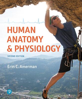 Human Anatomy & Physiology Plus Mastering A&p with Pearson Etext -- Access Card Package - Amerman, Erin