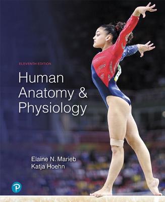 Human Anatomy & Physiology Plus Mastering A&p with Pearson Etext -- Access Card Package - Marieb, Elaine, and Hoehn, Katja