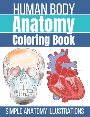 Human Body Anatomy Coloring Book: Anatomy and Physiology Coloring Workbook - Press, Bee Art