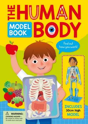 Human Body Model Book - Hilton, Samantha