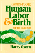 Human Labor & Birth