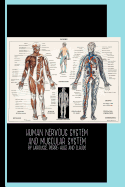 Human Nervous System and Muscular System (1900) by Larousse, Pierre; Aug? and Claude: Sketch Book: Illustration / Gallery and Museum Art