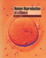 Human Reproduction at a Glance - Heffner, Linda J