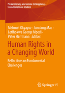 Human Rights in a Changing World: Reflections on Fundamental Challenges