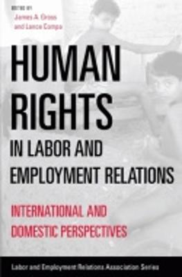 Human Rights in Labor and Employment Relations: International and Domestic Perspectives - Gross, James A (Editor), and Compa, Lance (Editor)